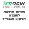 אחריות מורחבת